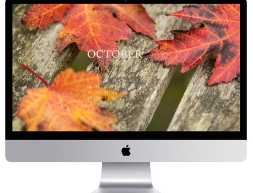Free Fall Desktop Wallpapers / Fall Screensavers