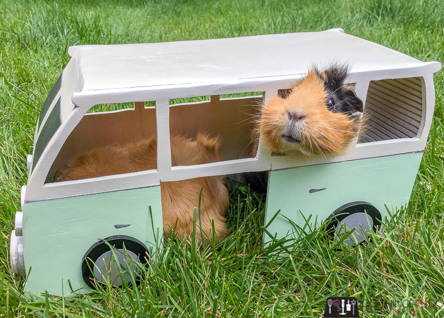DIY Guinea Pig hide, guinea pig fort, VW Bus