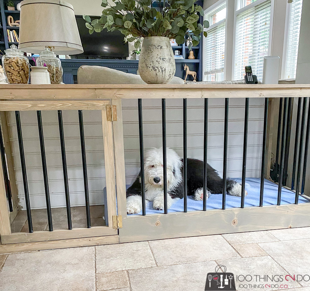 DIY dog crate, DIY dog kennel, make your own dog crate, how to make a dog crate, dog crate for large breed dogs
