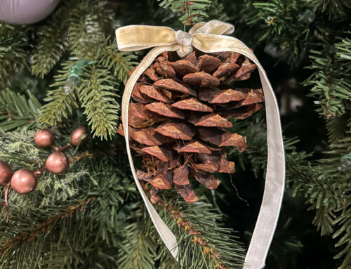 Simple pinecone ornaments