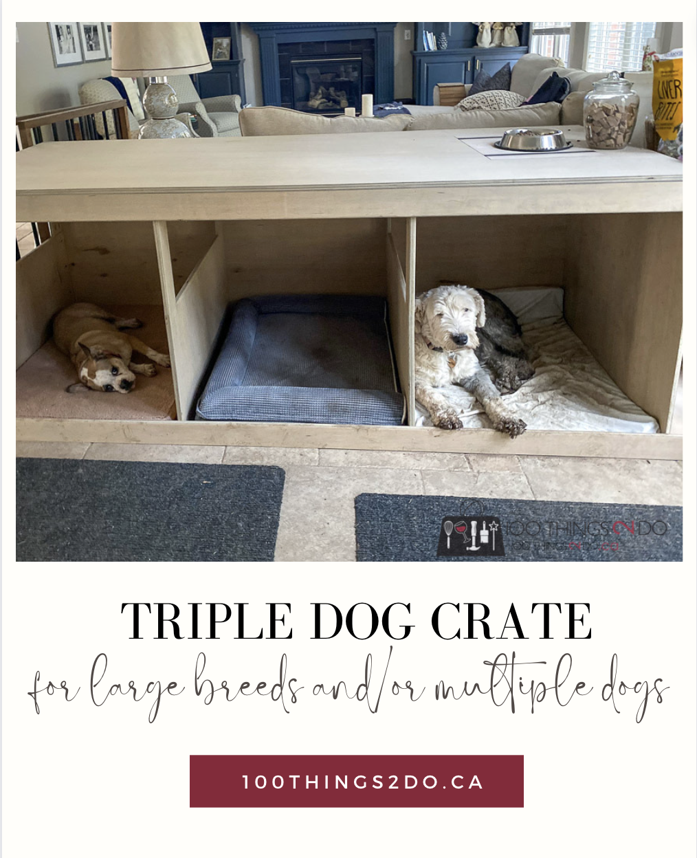 Build a BIG dog crate for multiple big dogs 100 Things 2 Do